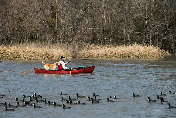Canoe