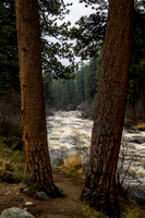 JK9_River_RMNP_0891.jpg