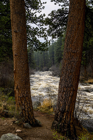 JK9_River_RMNP_0891.jpg